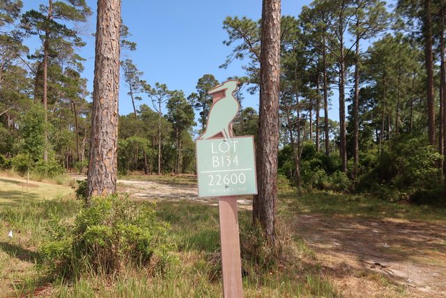 22600 Turtleback Lane, Panama City Beach, FL 32413
