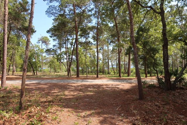 22600 Turtleback Lane, Panama City Beach, FL 32413