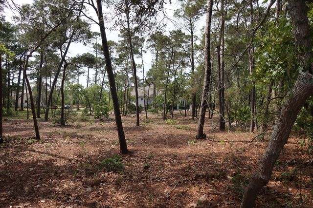 22600 Turtleback Lane, Panama City Beach, FL 32413