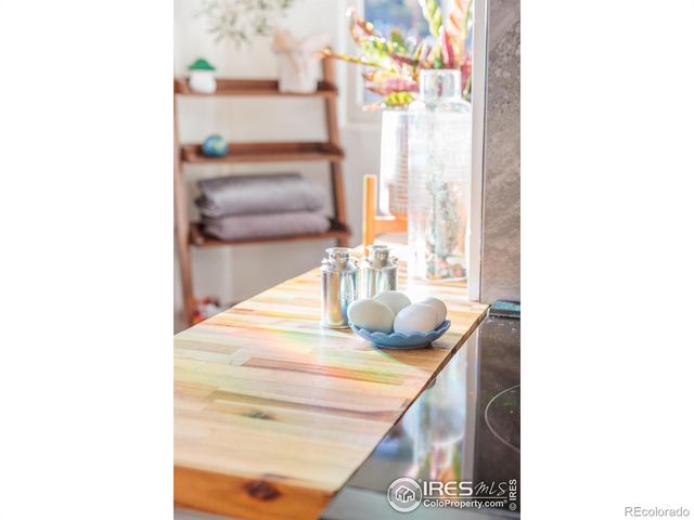 993 Highway 7 Business, Allenspark, CO 80510