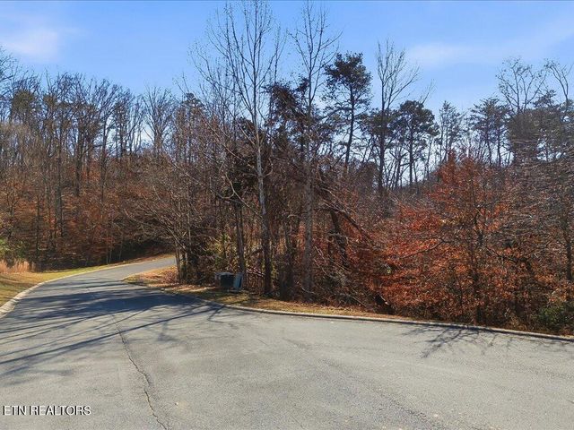 Lot 18 Cove Springs Drive, Dandridge, TN 37725