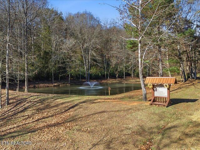 Lot 18 Cove Springs Drive, Dandridge, TN 37725