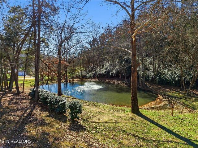 Lot 18 Cove Springs Drive, Dandridge, TN 37725