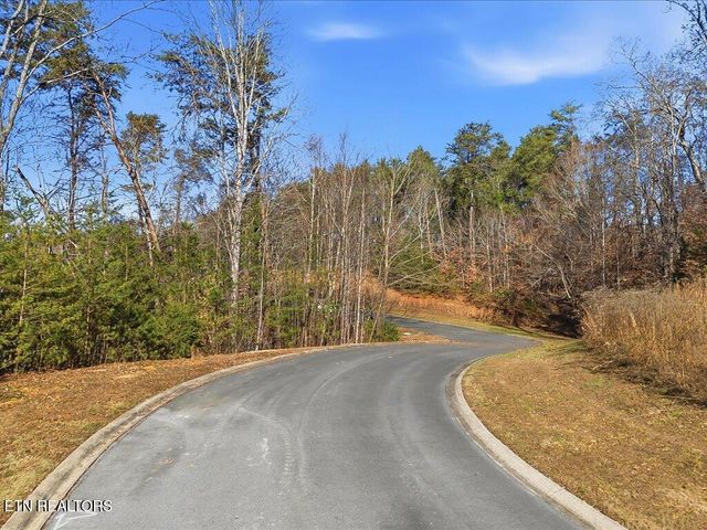 Lot 18 Cove Springs Drive, Dandridge, TN 37725