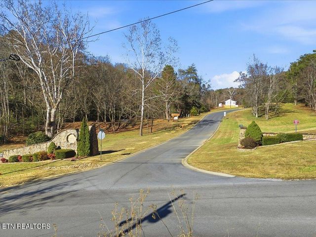 Lot 18 Cove Springs Drive, Dandridge, TN 37725