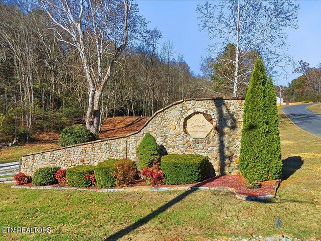 Lot 18 Cove Springs Drive, Dandridge, TN 37725