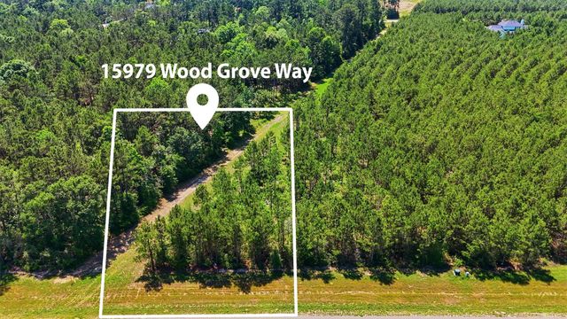 15979 Wood Grove Way, Willis, TX 77378