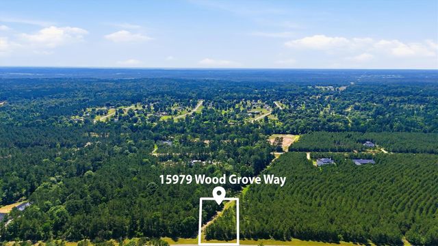 15979 Wood Grove Way, Willis, TX 77378