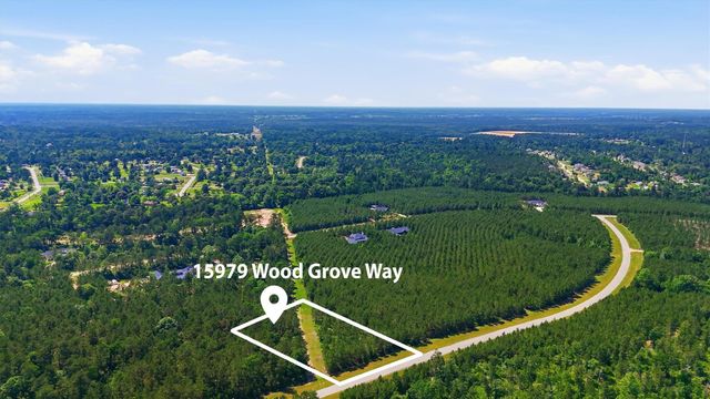 15979 Wood Grove Way, Willis, TX 77378