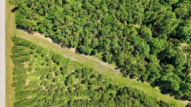 15979 Wood Grove Way, Willis, TX 77378