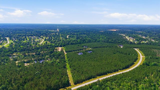 15979 Wood Grove Way, Willis, TX 77378