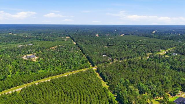 15979 Wood Grove Way, Willis, TX 77378