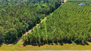 15979 Wood Grove Way, Willis, TX 77378