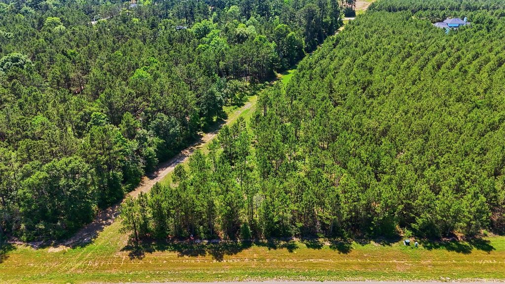 15979 Wood Grove Way, Willis, TX 77378