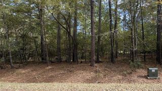 103 Green Tree Drive, Coldspring, TX 77331