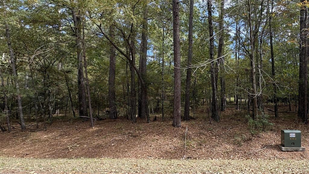 103 Green Tree Drive, Coldspring, TX 77331