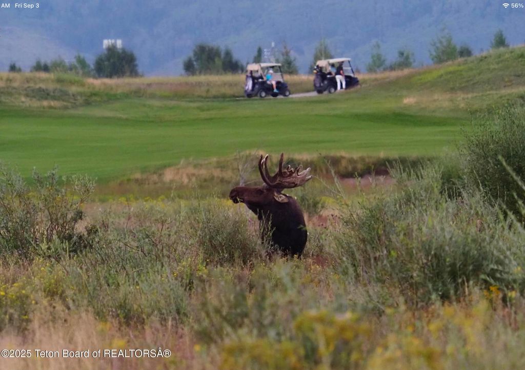 377 WOODLAND STAR Drive, Driggs, ID 83422 photo 57