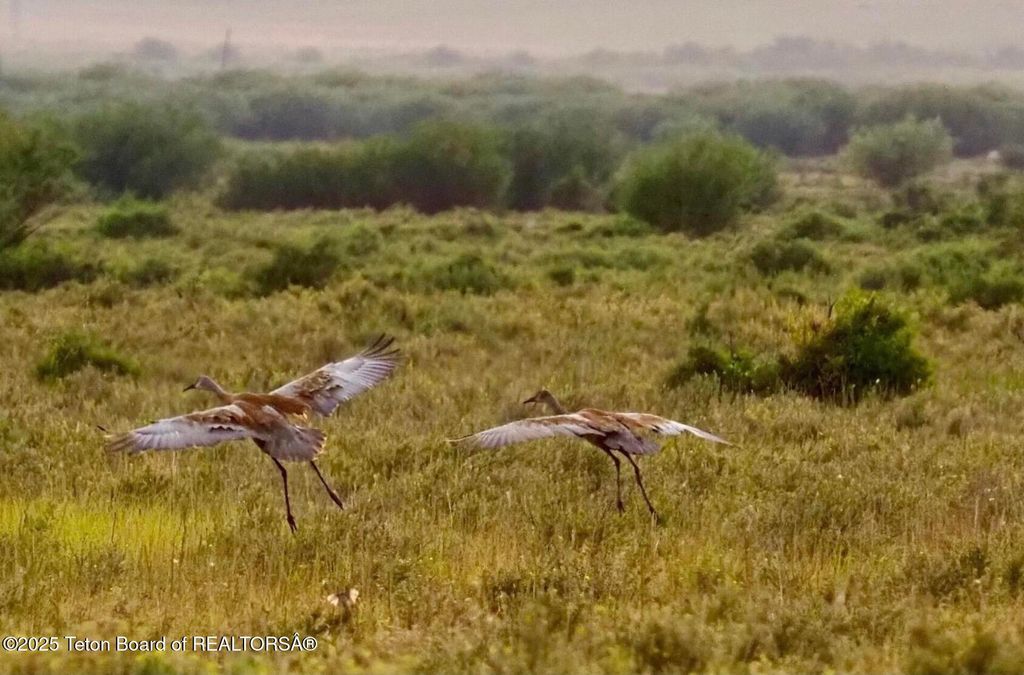 377 WOODLAND STAR Drive, Driggs, ID 83422 photo 58