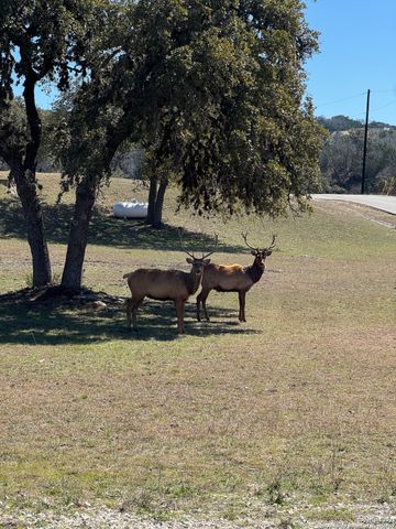 LOT 20 Ringtail Ct, Pipe Creek, TX 78063