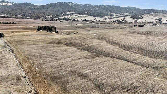 S 8004 Jackson Rd, Mica, WA 99023