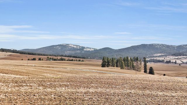 S 8004 Jackson Rd, Mica, WA 99023