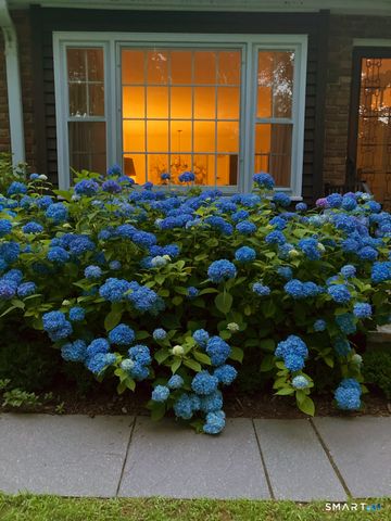 65 Main Street 21, Essex, CT 06442