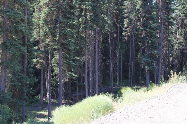 110 Bartroff Road, Oroville, WA 98844