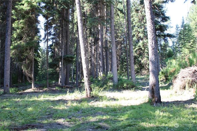 110 Bartroff Road, Oroville, WA 98844