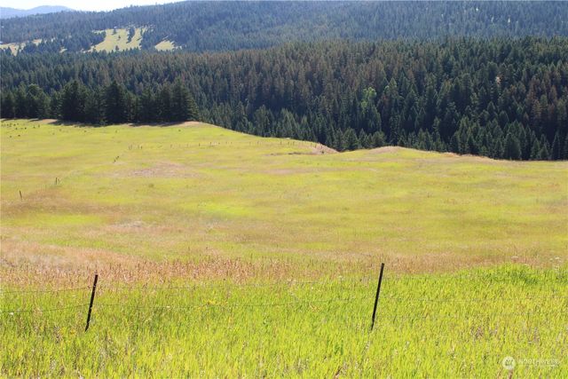 110 Bartroff Road, Oroville, WA 98844