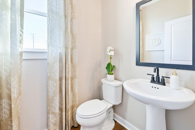 317 Black Bear Drive, Mount Pleasant, TN 38474