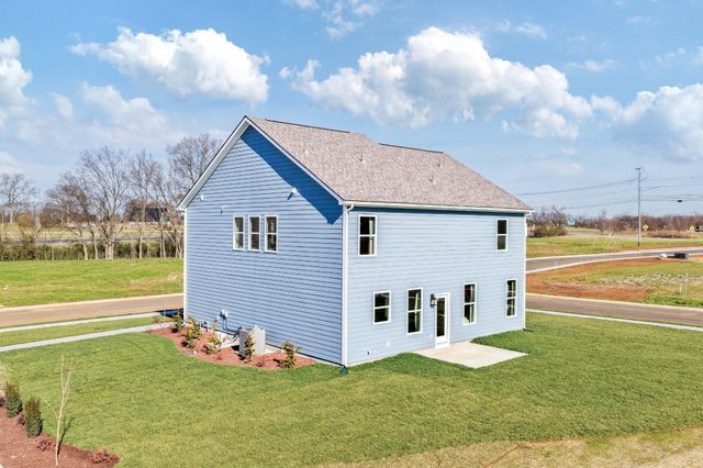 317 Black Bear Drive, Mount Pleasant, TN 38474