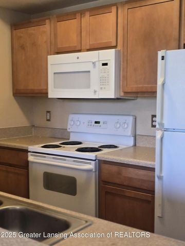 12967 Townsend Drive 211, Grand Ledge, MI 48837