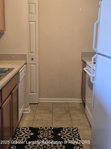 12967 Townsend Drive 211, Grand Ledge, MI 48837