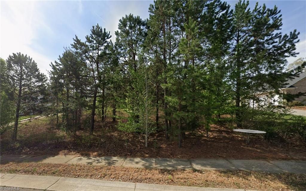 7474 Birchbend Lane Lot 9, Lewisville, NC 27023