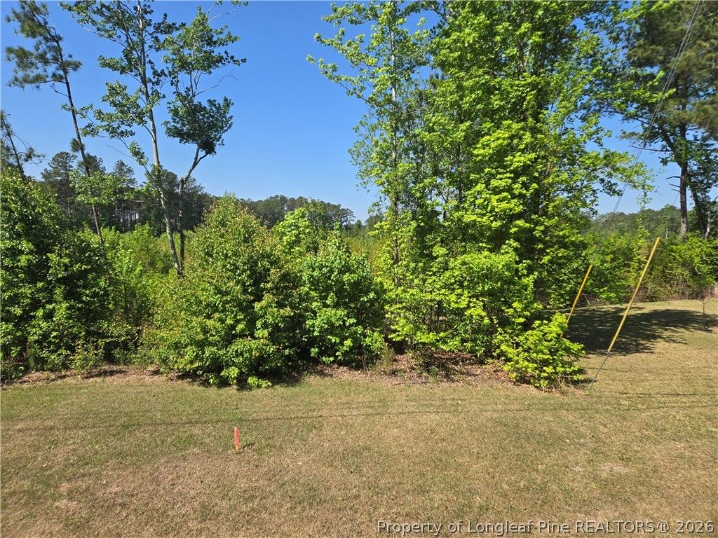 5242 Hummingbird Place, Fayetteville, NC 28312 — photo 6