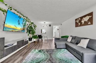 609 NE 14th Ave 405, Hallandale Beach, FL 33009