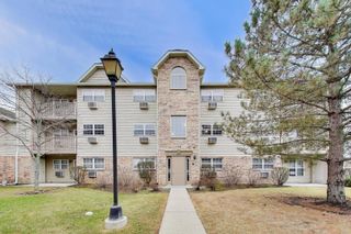 1508 Spring Brook Court 2D, Round Lake Beach, IL 60073