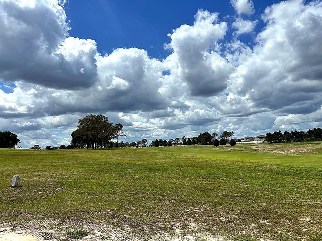 3492 GREENBLUFF ROAD 1119, Zellwood, FL 32798