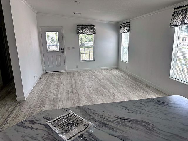 3492 GREENBLUFF ROAD 1119, Zellwood, FL 32798