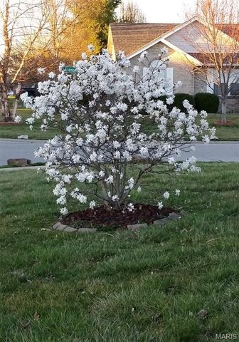 5194 Depaul Drive, Fairview Heights, IL 62208