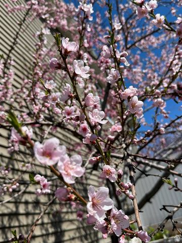 555 N 750 E, Hyde Park, UT 84318