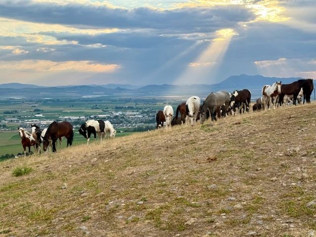 555 N 750 E, Hyde Park, UT 84318