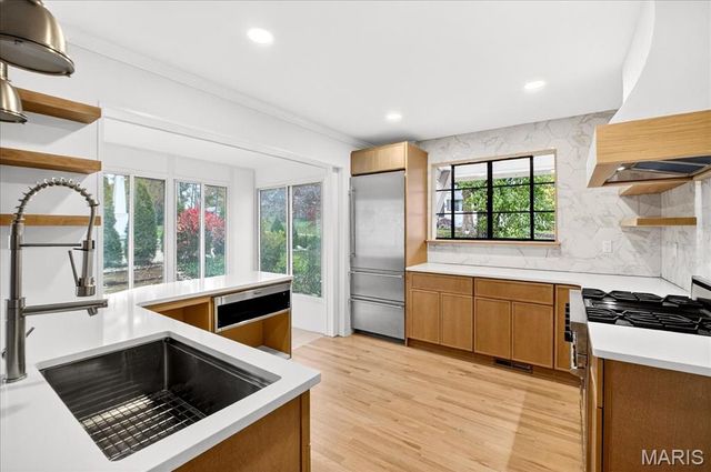 246 S Old Orchard Avenue, St Louis, MO 63119