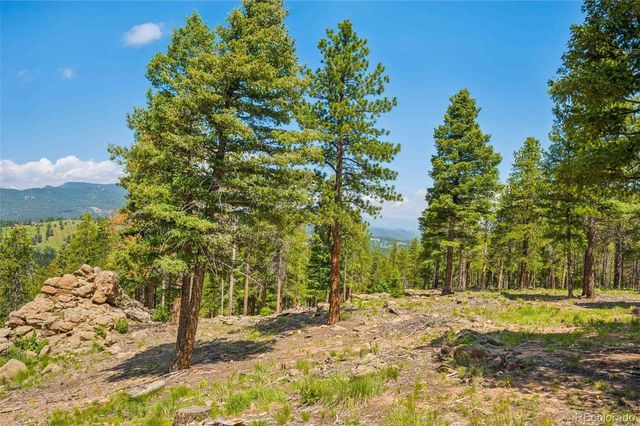 12350 Powhatan Trail, Conifer, CO 80433