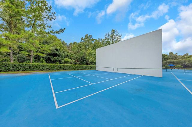 2904 CORDOBA RANCH BOULEVARD, Lutz, FL 33559