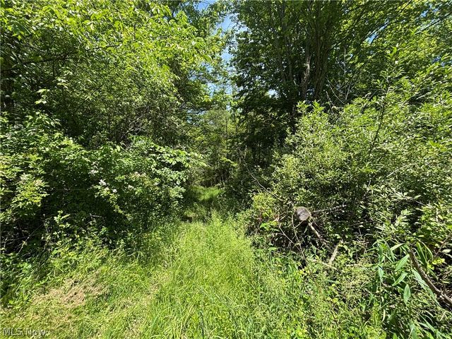 6601 Mapleton Street SE, East Canton, OH 44730