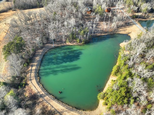 17 Dial Mountain Drive, Blue Ridge, GA 30513