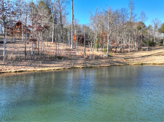 17 Dial Mountain Drive, Blue Ridge, GA 30513