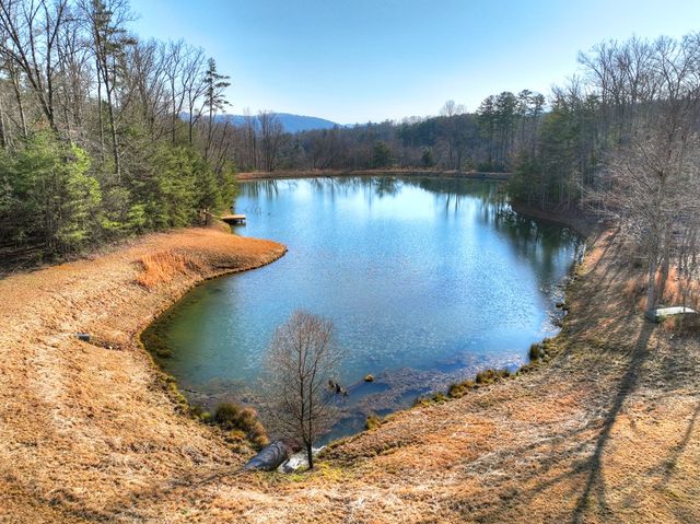 17 Dial Mountain Drive, Blue Ridge, GA 30513