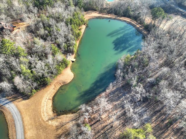 17 Dial Mountain Drive, Blue Ridge, GA 30513